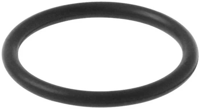 1 in. O-Ring