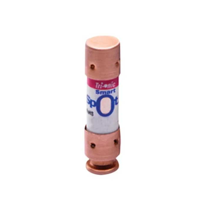 20A Time Delay Cartridge Fuse
