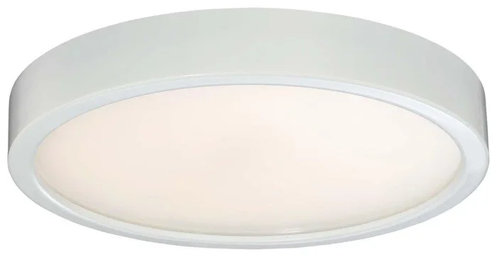 25W 1-Light Flush Mount Ceiling Fixture in White
