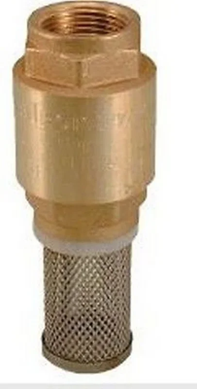 475065 Valvola di fondo “Europa”, filtro in acciaio inox 2 1/2″ RASTELLI