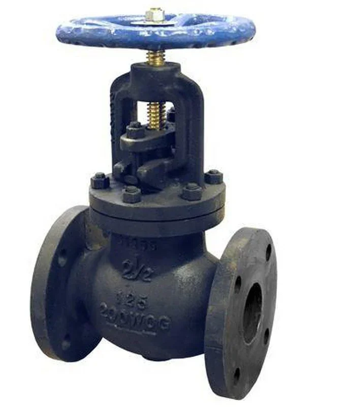 5 in.Cast Iron Flanged Globe Valve