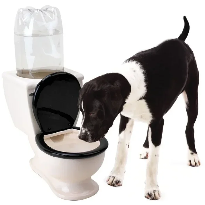 Abbeveratoio a forma di WC