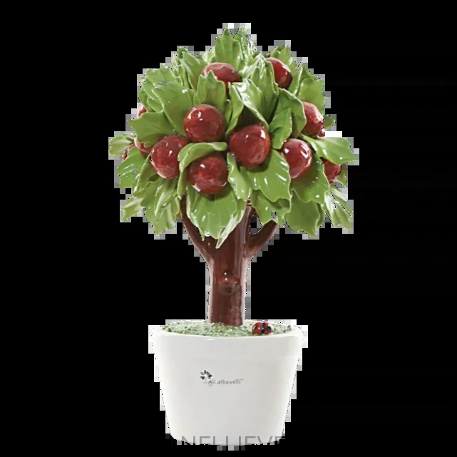 Albero Melo medio