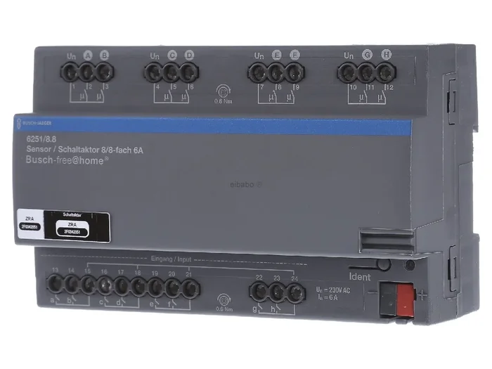 Attuatore sensore/interruttore Attuatore 8/8 volte 6251/8.8