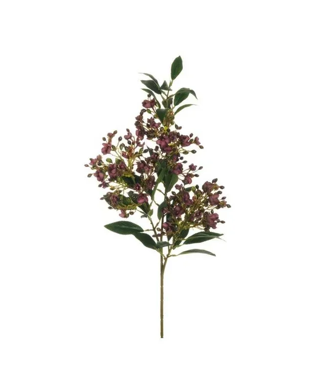 Brunch wax flower x3 cm 87 purple