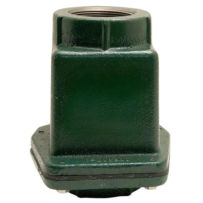 Check Valve 2 in. FNPT