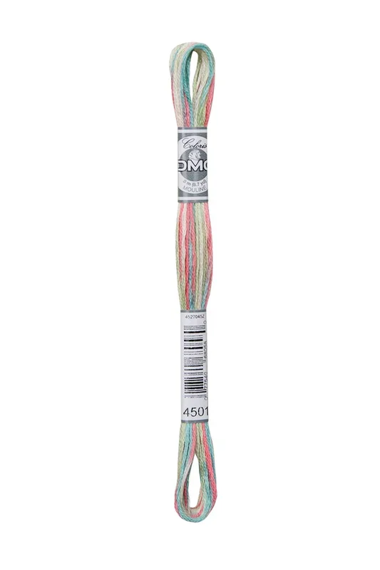 Cotone Dmc Mouline Multicolore 4501