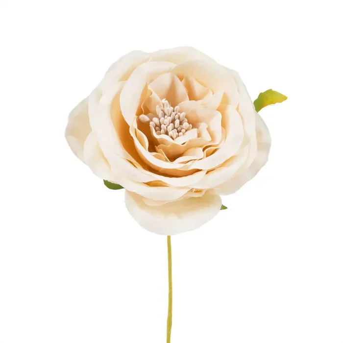 Fiore Bomboniera Camelia Beige