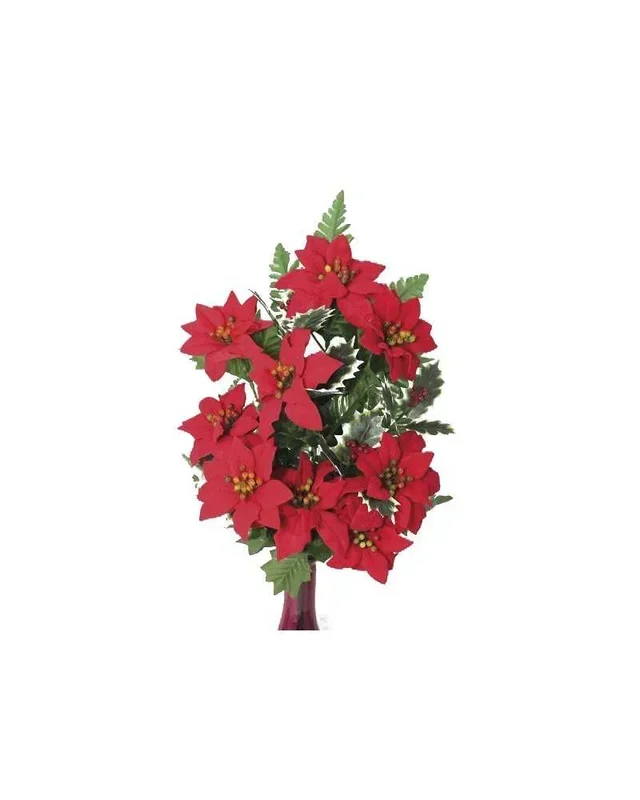 Frontale poinsietta holly red