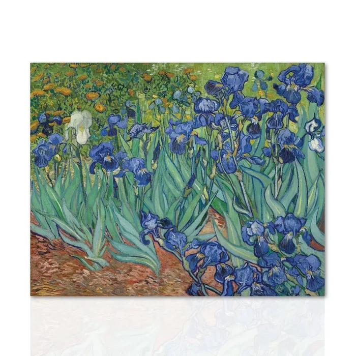 Iris