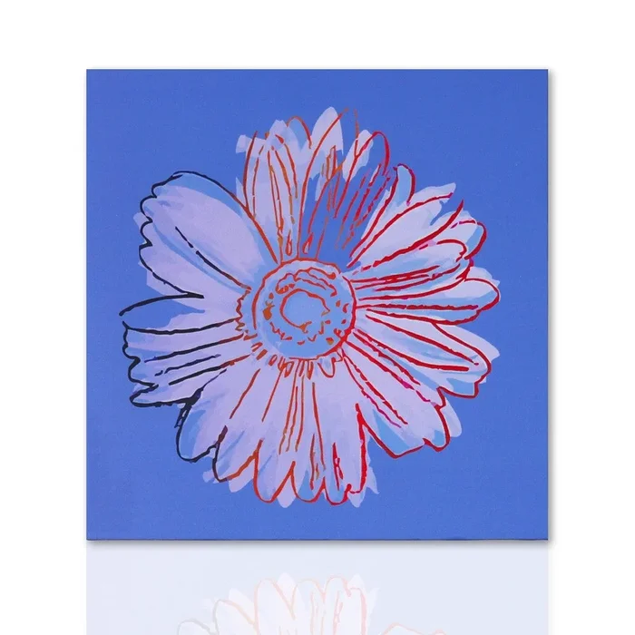 Margherita Daisy