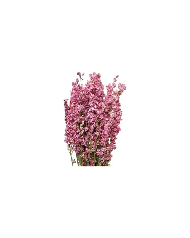 Mazzo delphinium natural pink