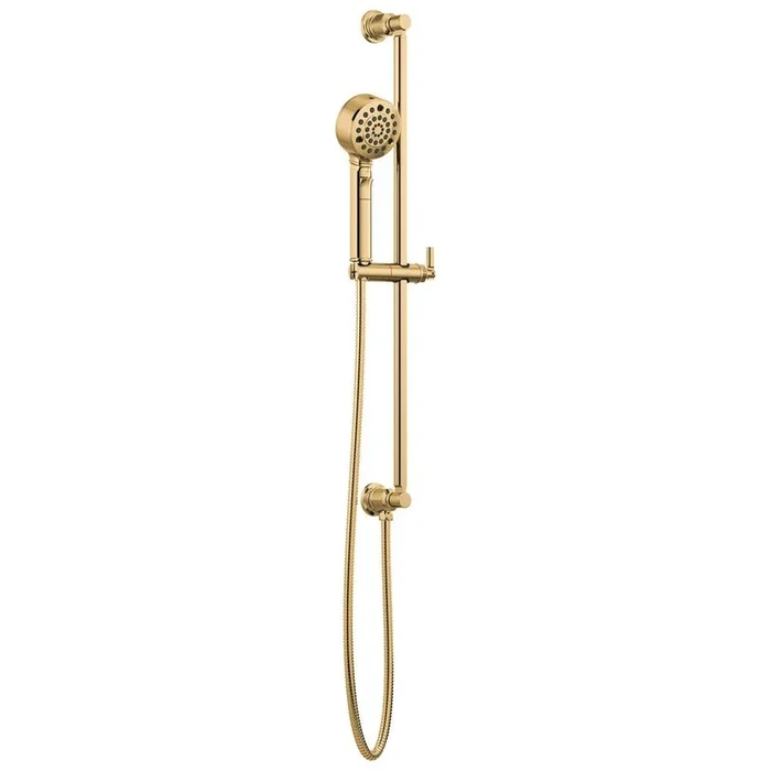 Multi Function Hand Shower in Polished Gold