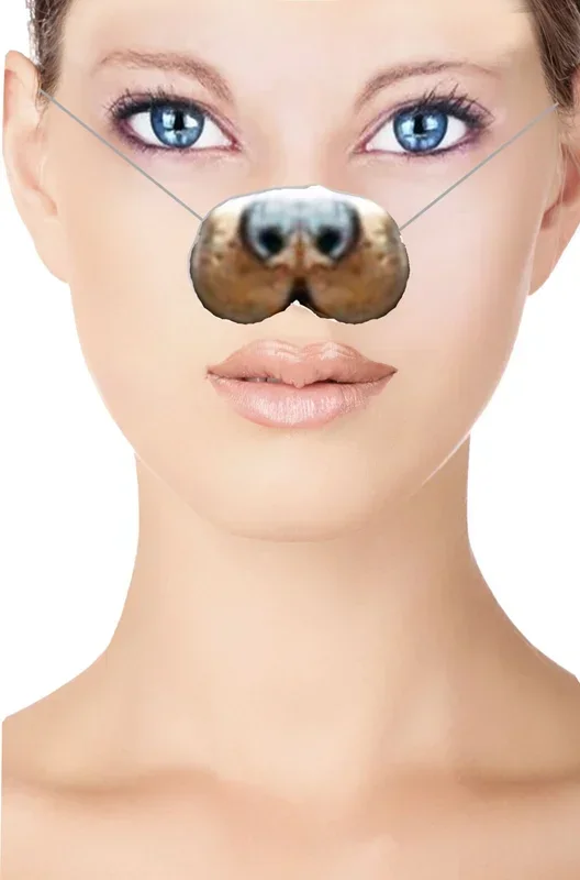 Naso finto cane o lupo