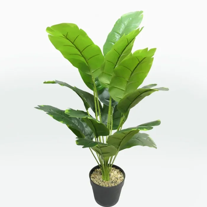 Pianta artificiale Banano Giapponese
