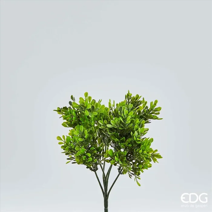 Pianta artificiale Bosso Chic 26h cm EDG