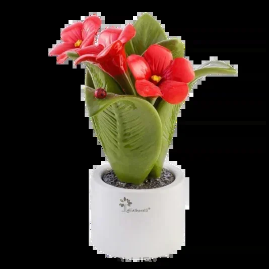 Pianta media Fiore Rosso