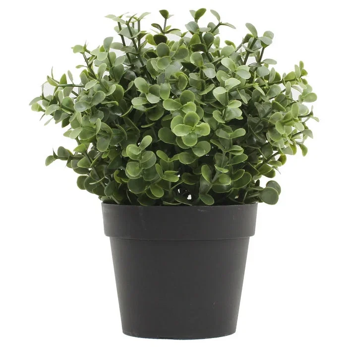 Piantina artificiale bosso verde chiaro-scuro