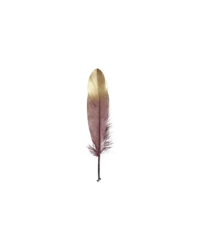 PIUMA DECORATIVA BURGUNDY – CF 24 PZ.