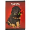 Quaderno Maxi Animal Friends