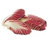 Radicchio Lungo