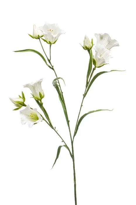 Ramo Campanula 65 Cm Bianco