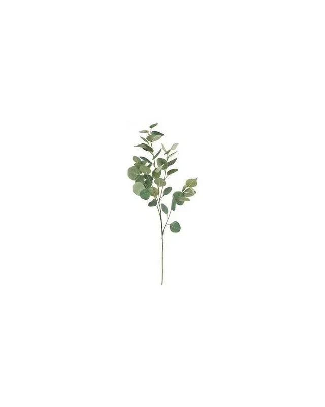 Ramo eucaliptus x5 spray h 100 green