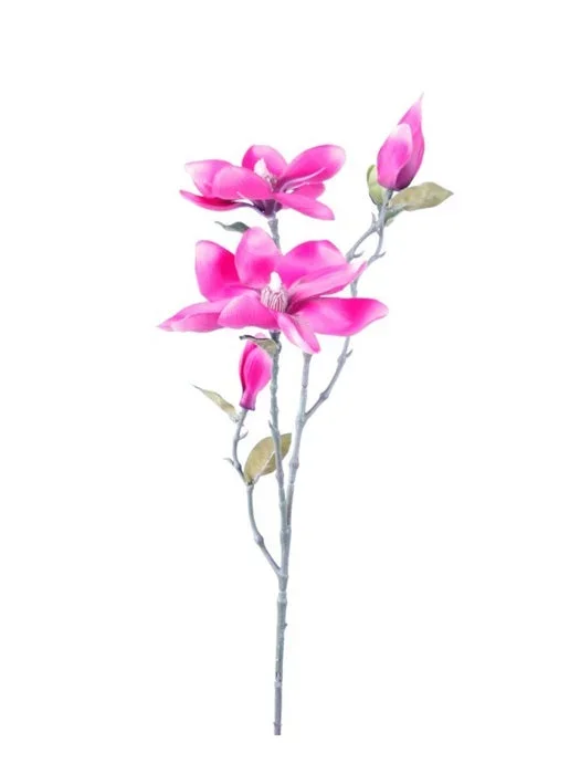 Ramo Magnolia 75 Cm Fucsia