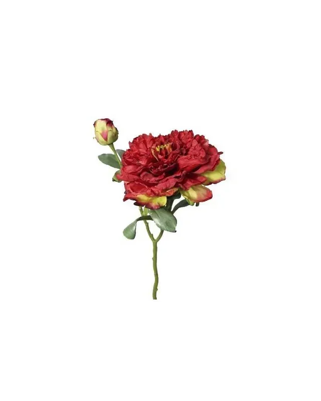 Ramo peonia aperta x2 red
