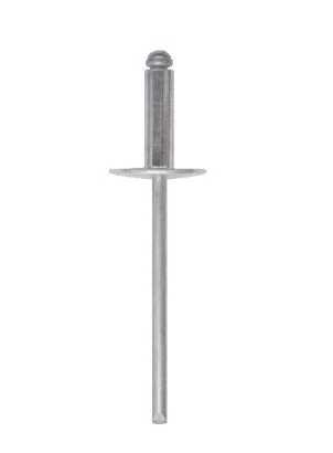 Rivetti Testa Larga 4,8X25 Mm 25 Pz