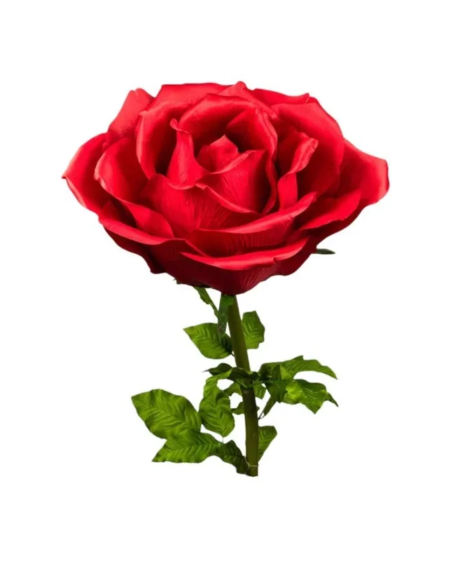 ROSA DIAM. 75 CM – STELO CM 130 ROSSO