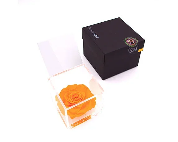 Rosa Stabilizzata Arancio 10X10 Cm