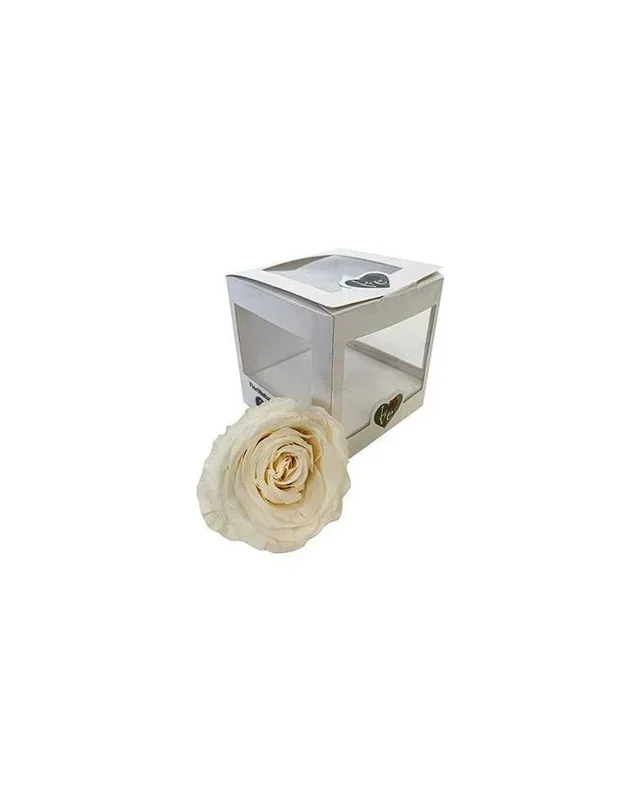 Rosa Stabilizzata cm 8 Bianco