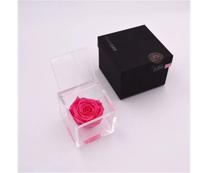 Rosa Stabilizzata Rosa 8X8 Cm