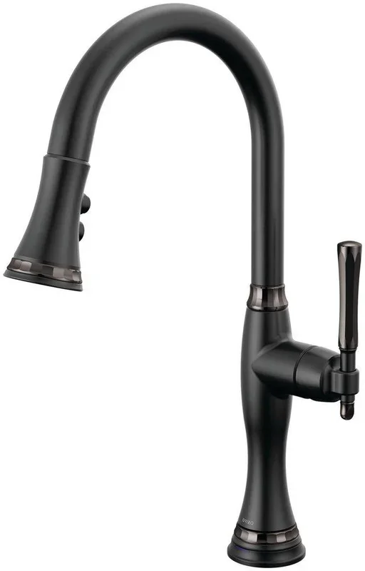 Single Handle Pull Down Kitchen Faucet in Matte Black with Brilliance® Black Onyx