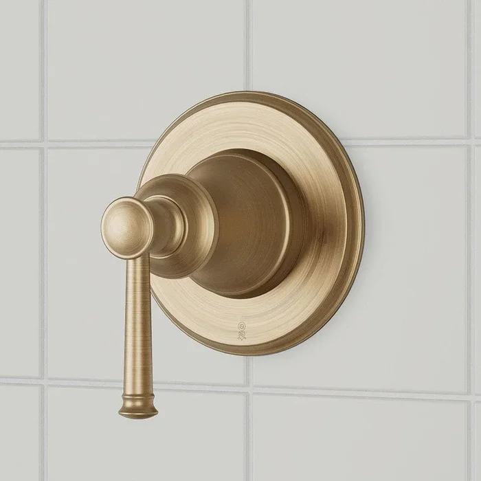 Single Handle Volume Control Valve Trim in Aged Brass
