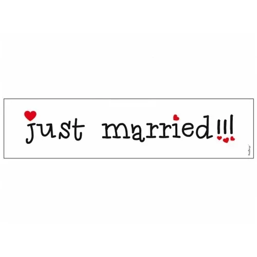 targa per decorare auto sposi “just married”