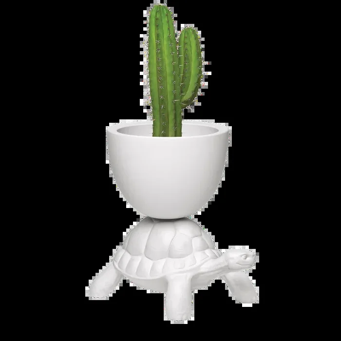 Turtle Carry Planter