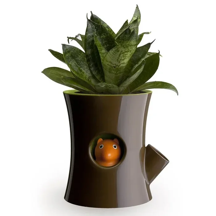 Vaso Scoiattolo